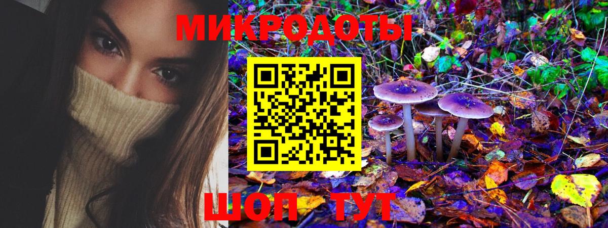 Псилоцибиновые грибы мухоморы Михайловка